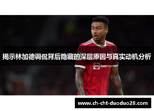 揭示林加德调侃背后隐藏的深层原因与真实动机分析