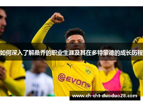如何深入了解桑乔的职业生涯及其在多特蒙德的成长历程 如何深入了解桑乔的职业生涯及其在多特蒙德的成长历程